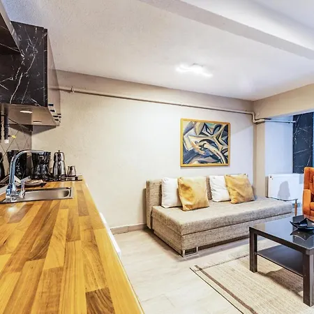 Apartment Stylish Fully Furnished Modern Flat In Kadikoey Istanbul